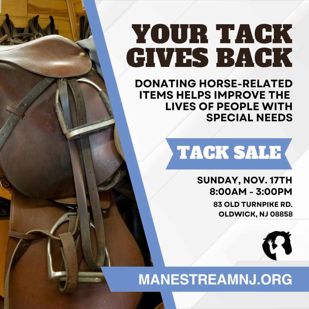 Horse items for outlet sale